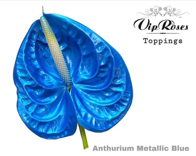Anthurium Dyed Metallic Blue
