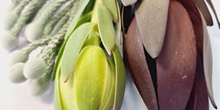 Cape Greens product guide