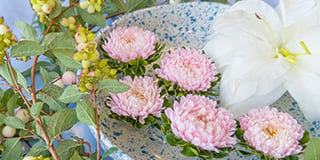 夏季之选