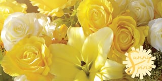 Sunny Spirit