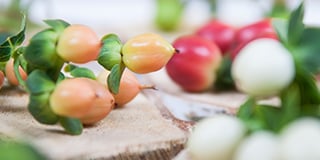 Ilex, Berries, Branches product guide