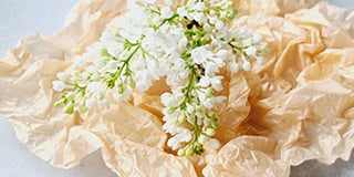 Syringa product guide