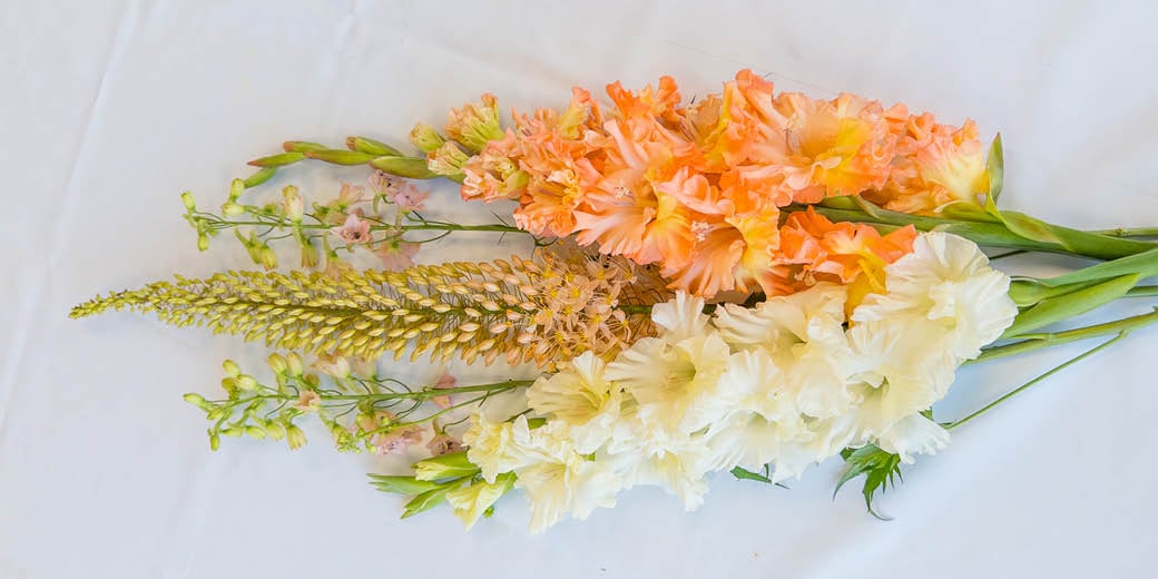 Tall flowers